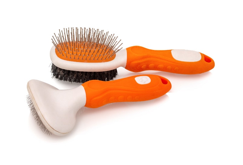 a set od combs and brushes for pet grooming