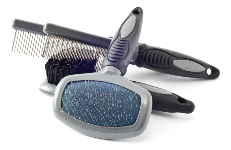 brush, comb, accessories for grooming dogs