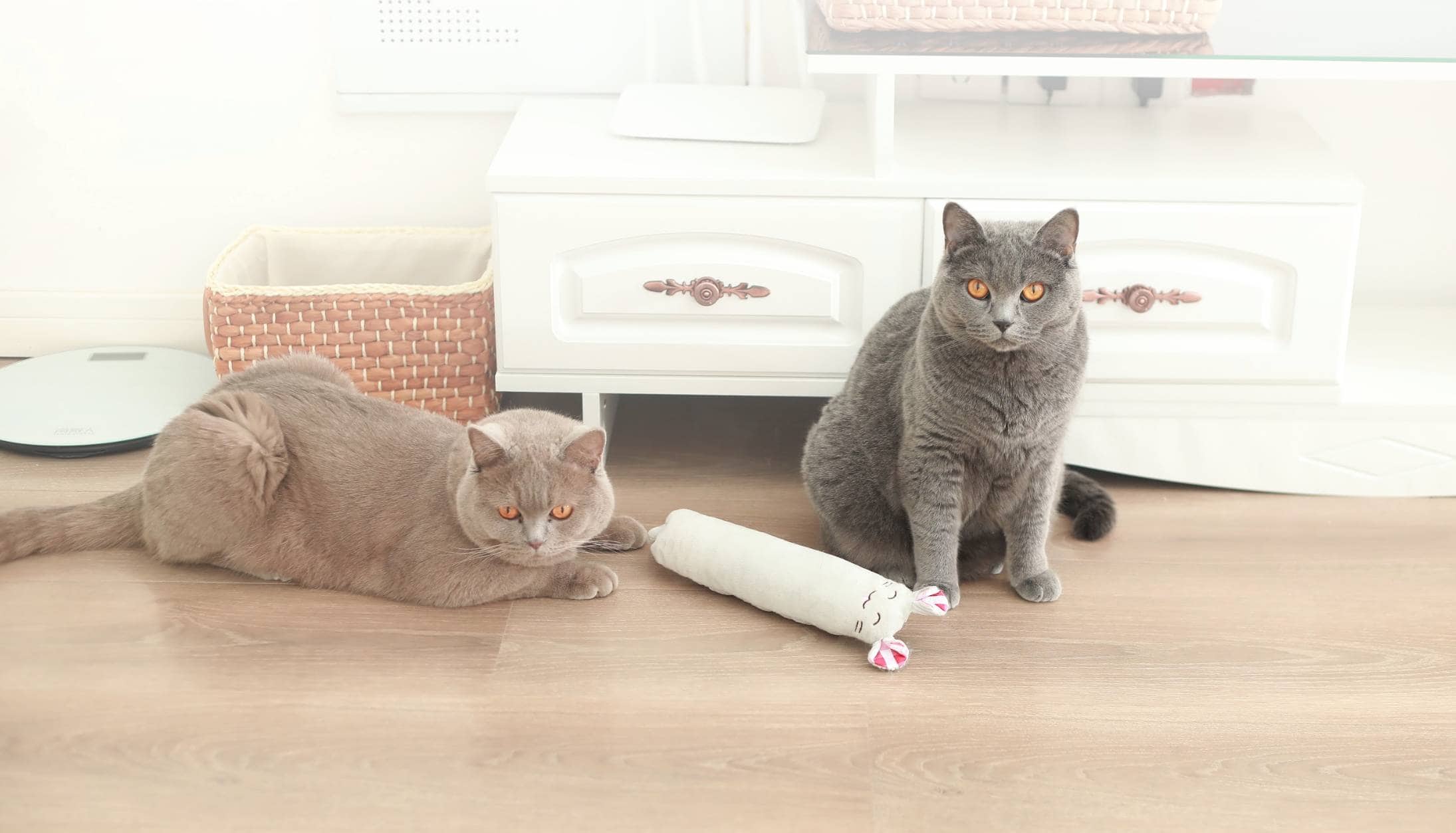 cats with Hepper Plush Mouse Kicker Toy
