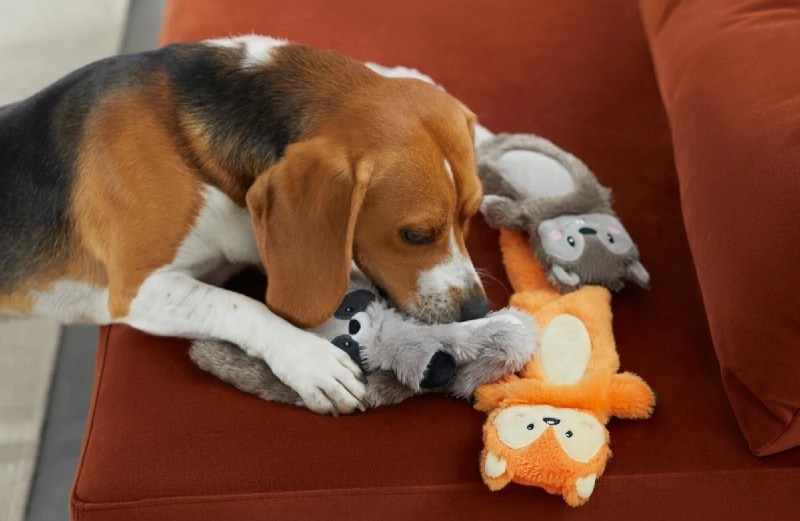 dog playing with a toy-Frisco Forest Friends Crinkle and Squeaker Dog Toys