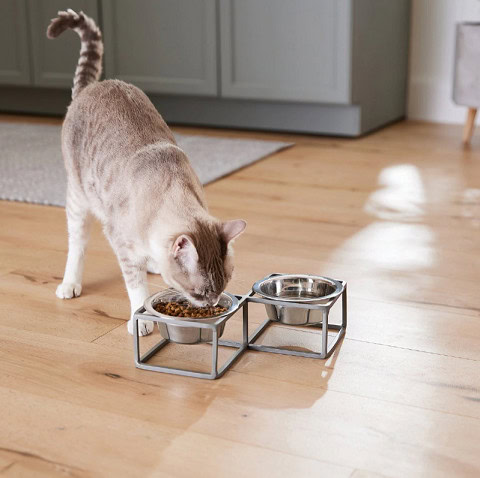 frisco elevated cat bowl