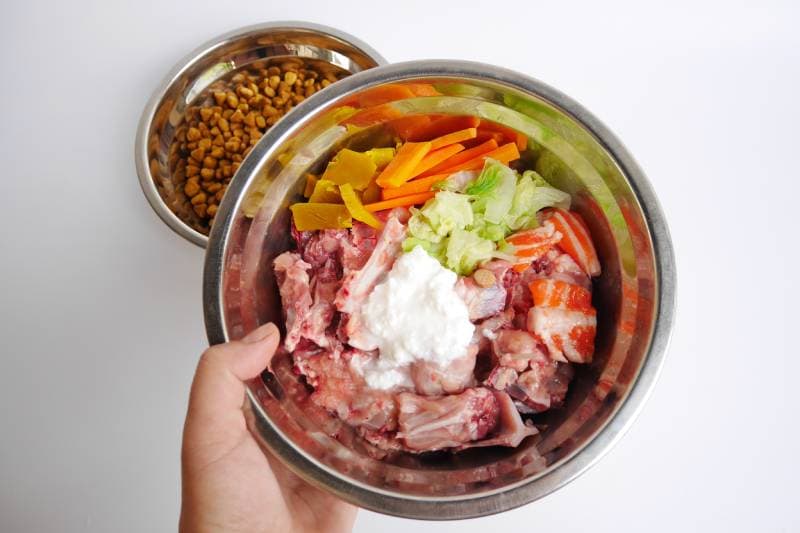 owner holding a metal bowl of raw dog food