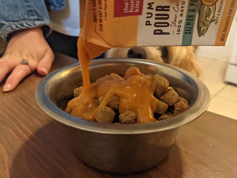 the honest kitchen pumpkin pour over salmon & pumpkin stew