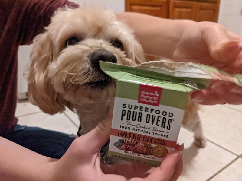 the honest kitchen superfood pour overs lamb & beef stew