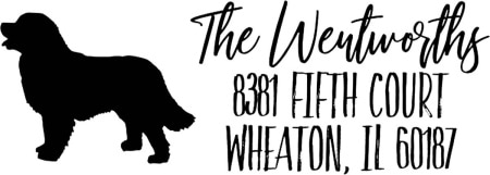904 Custom Self-Inking Personalized Address Stamp
