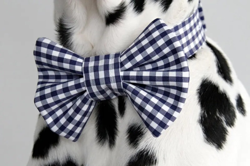 DIY dog bow
