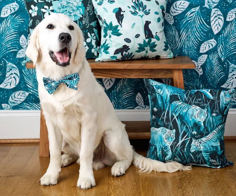 DIY dog bow