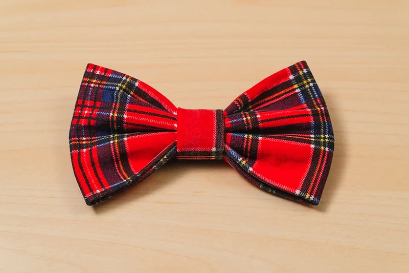 DIY dog bow
