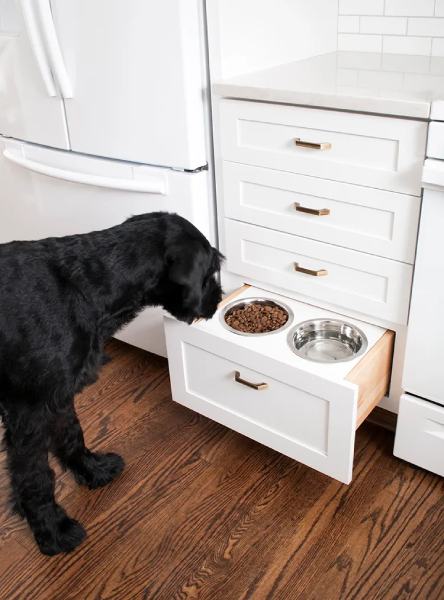 DOG FEEDER DIY 1