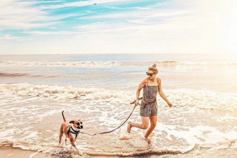 Explore Jekyll Island