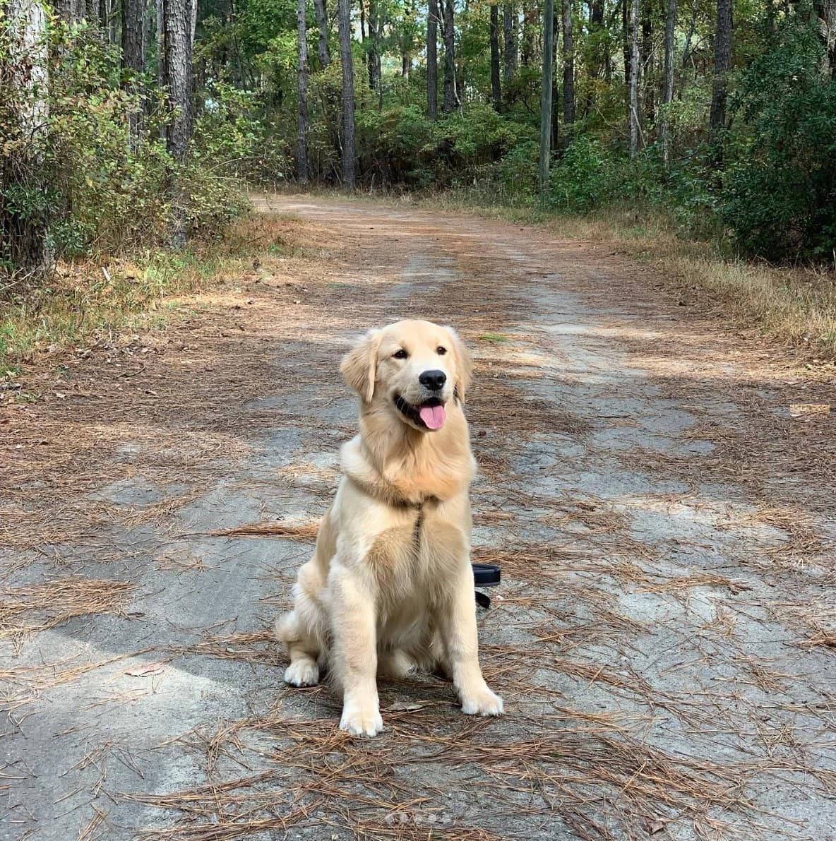 False Cape State Park