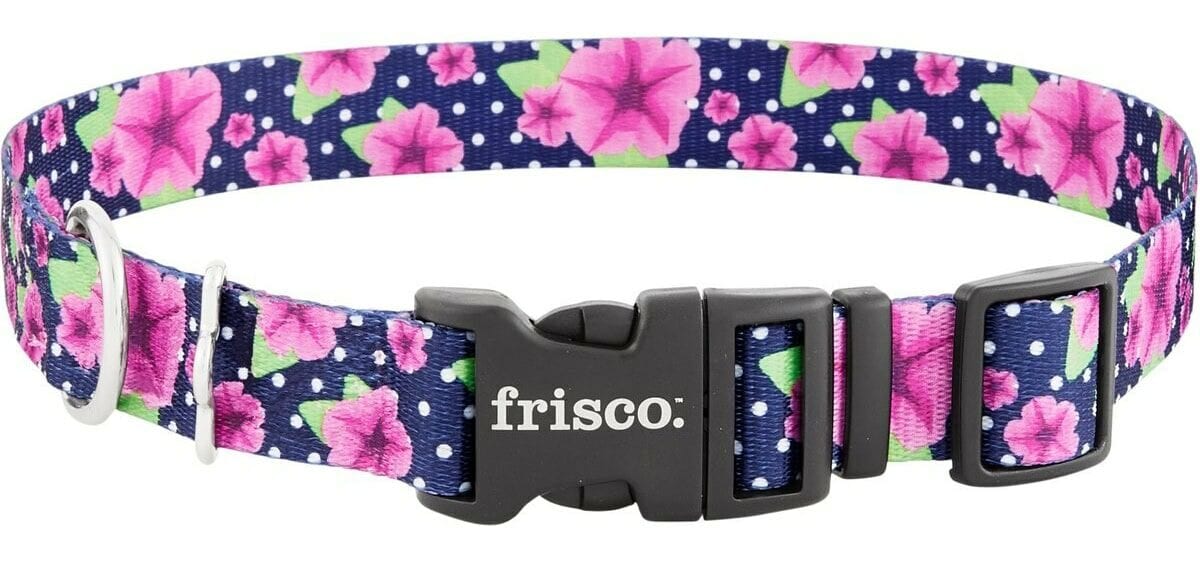 Frisco Patterned Polyester Dog Collar