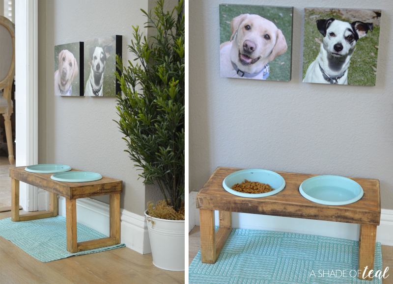 HOW TO MAKE A RAISED DOG FEEDER (1)