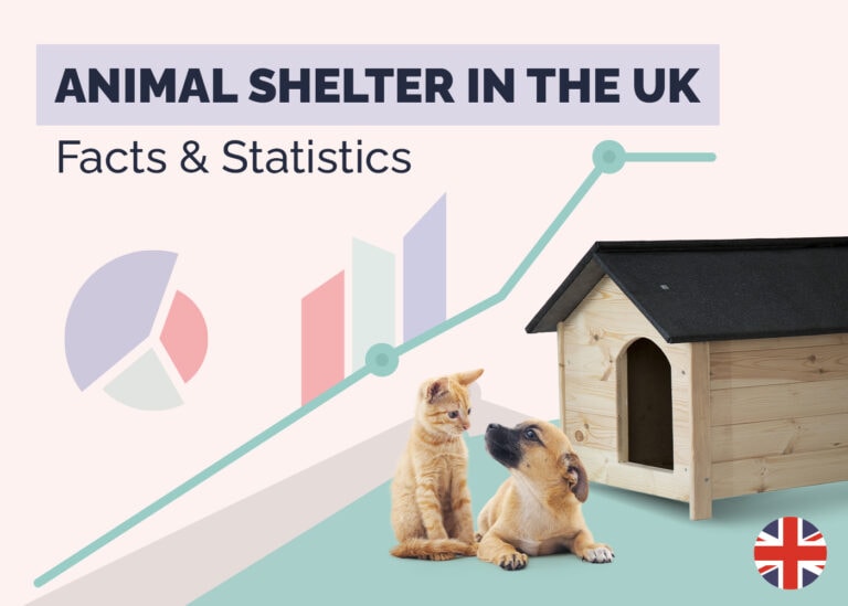 18 Shocking UK Animal Shelter Statistics Facts Updated In 2026 