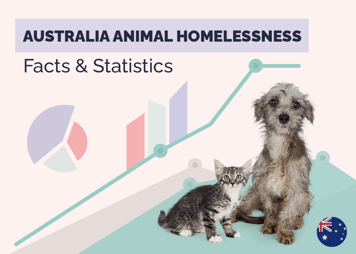 Austalia Animal Homelessness Facts and Statistics