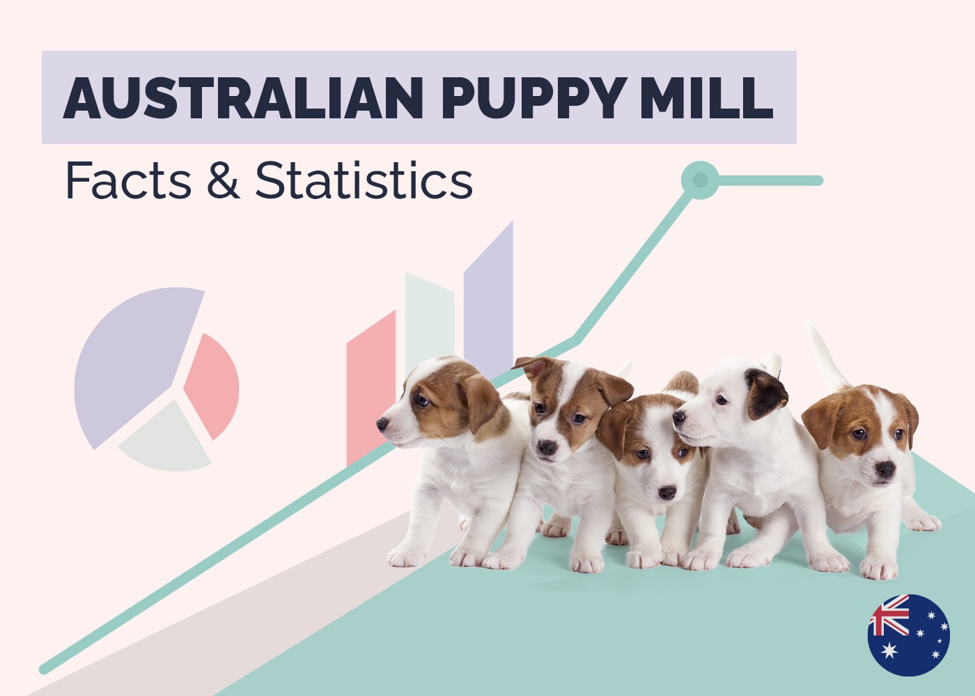 Australian Puppy Mill Facts & Statistics