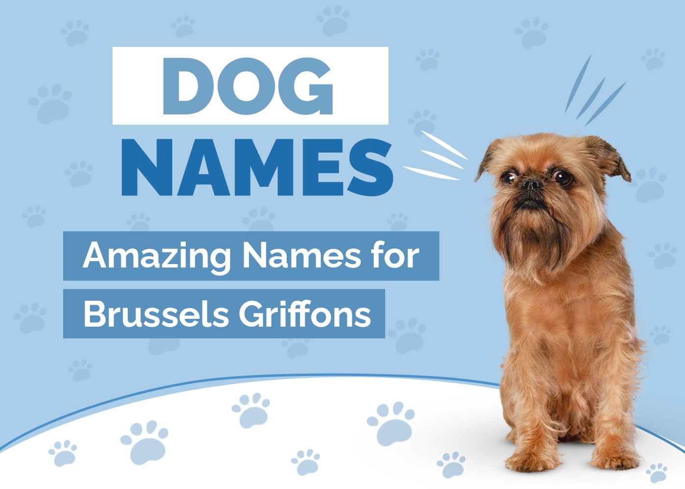 Names for Brussels Griffons