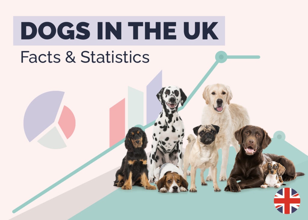Gallery Detail: How Many Dogs Are There In The Uk 20 Surprising