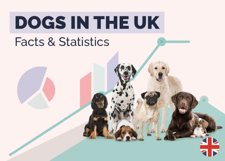 How Many Dogs How Many Dogs Are There in the UK? 20 Surprising Statistics: 2026 ...