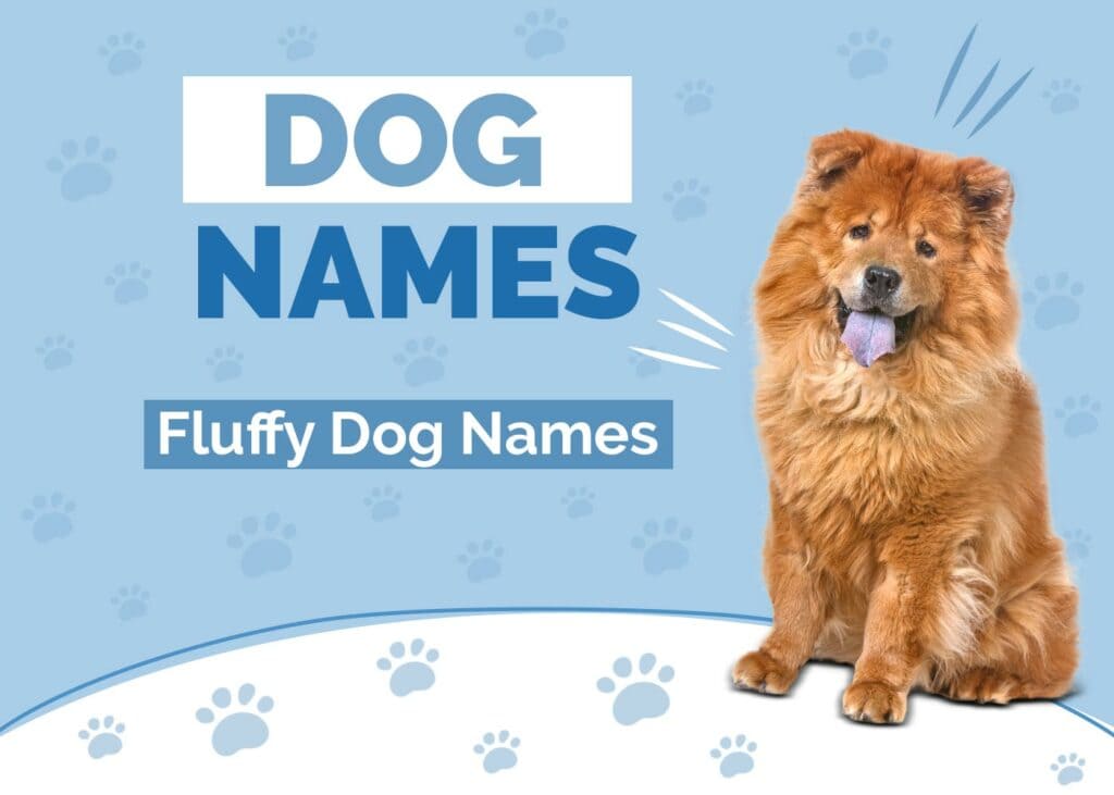 Adorable Flower Names for Dogs