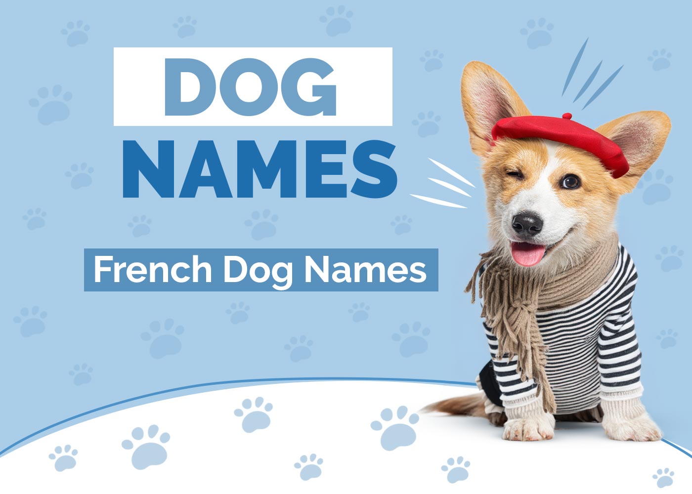 French Dog Names