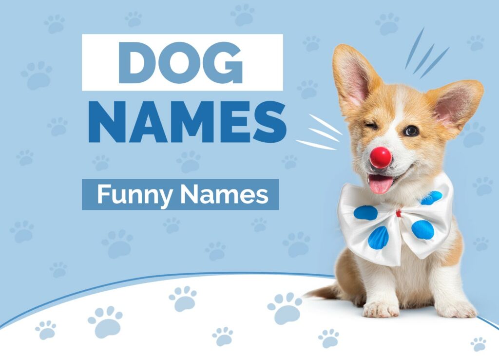 Funny Dog Names