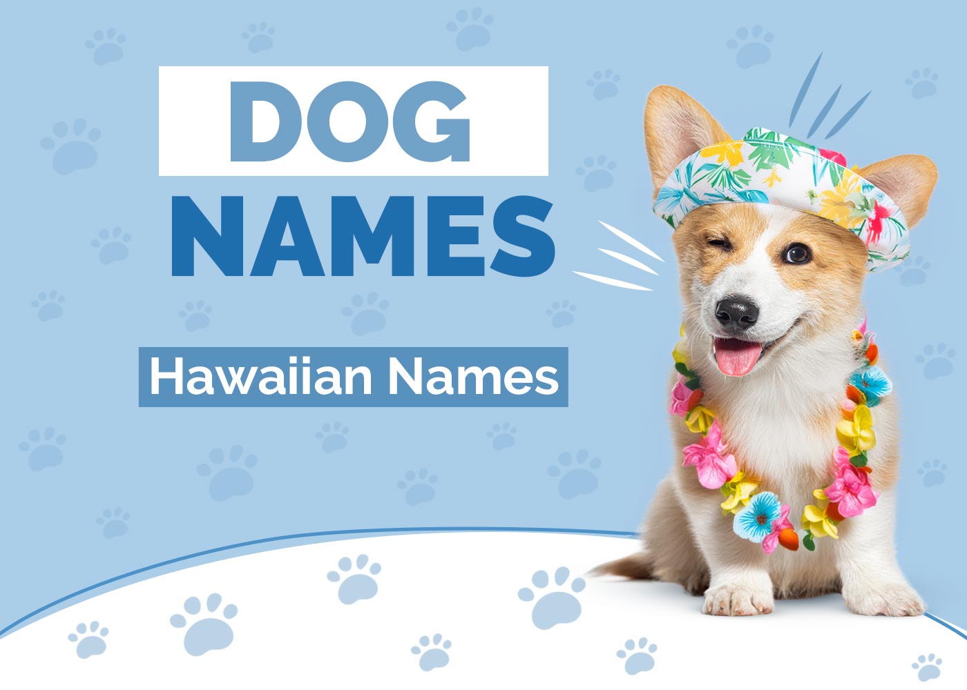 Hawaiian Dog Names