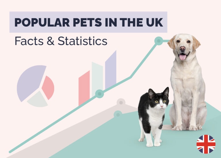 Statistics Rabbit 16 Fascinating Pet Rabbit Statistics (2026 Update) | Hepper Pet Resources