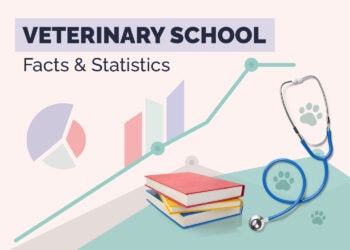 How Much Is Veterinary School 17 Surprising Statistics In 2025 Hepper Veterinary School Statistics V1 Jan 9 2024 350x250 