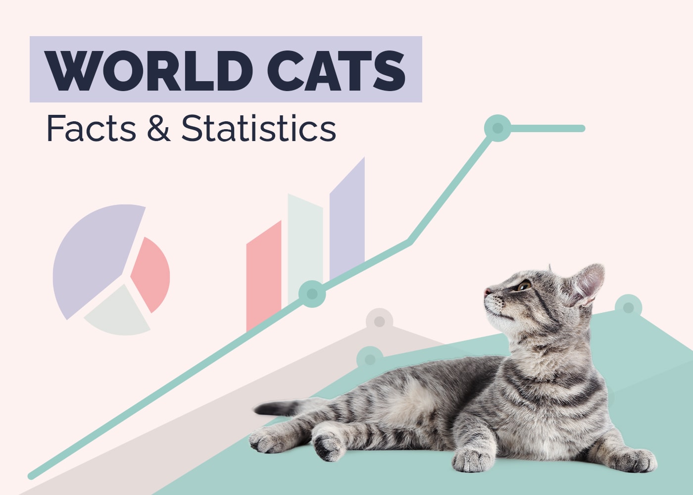 World Cats Facts and Statistics