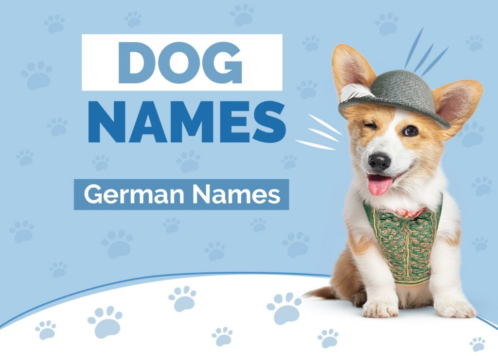 German Dog Names