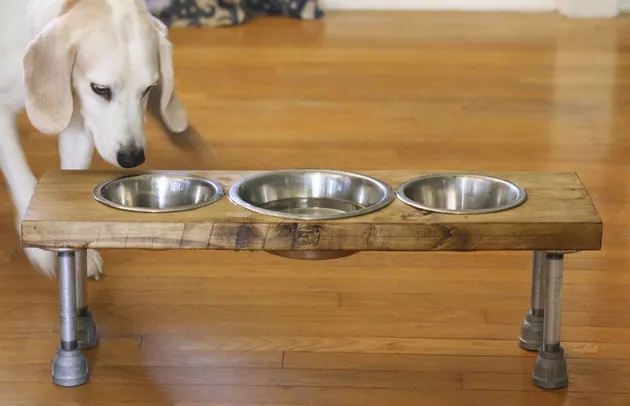 How to Make an Elevated Dog Feeder1