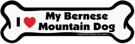 IMAGINE THIS I Love my Dog Magnet