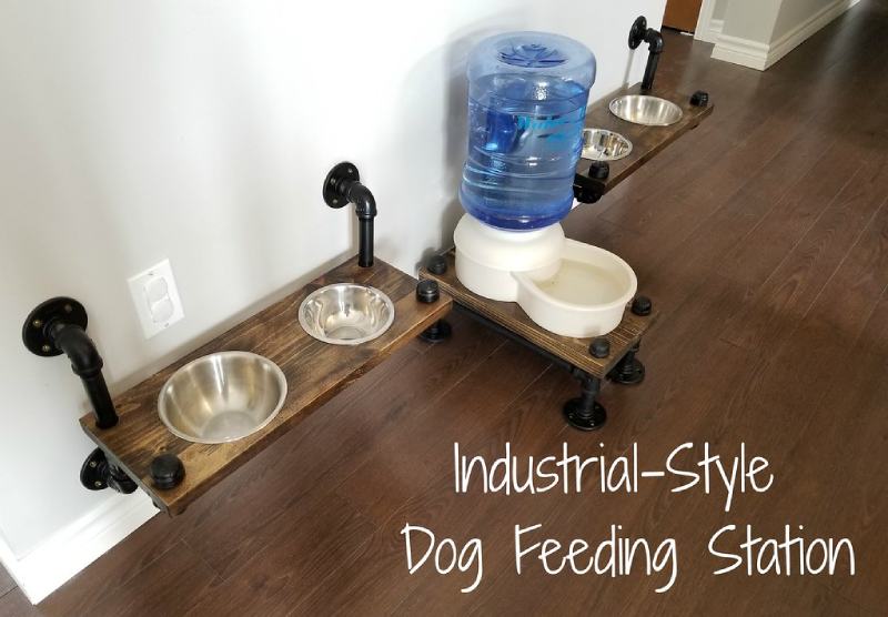 Industrial-Style Dog Feeding Station