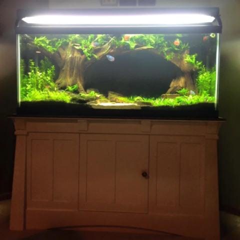 Make a Better Than New Aquarium Stand
