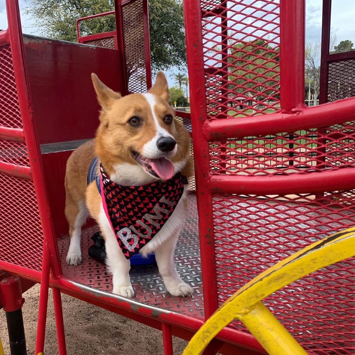 McCormick Park