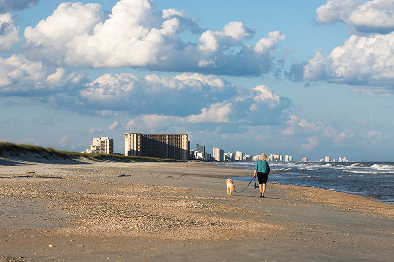 Older woman walking a golden doodle on the beach in Myrtle Beach South Carolina