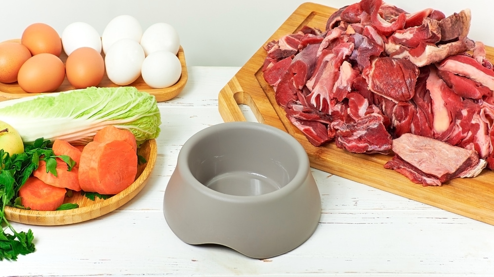 Preparing-natural-food-for-cat-and-dog