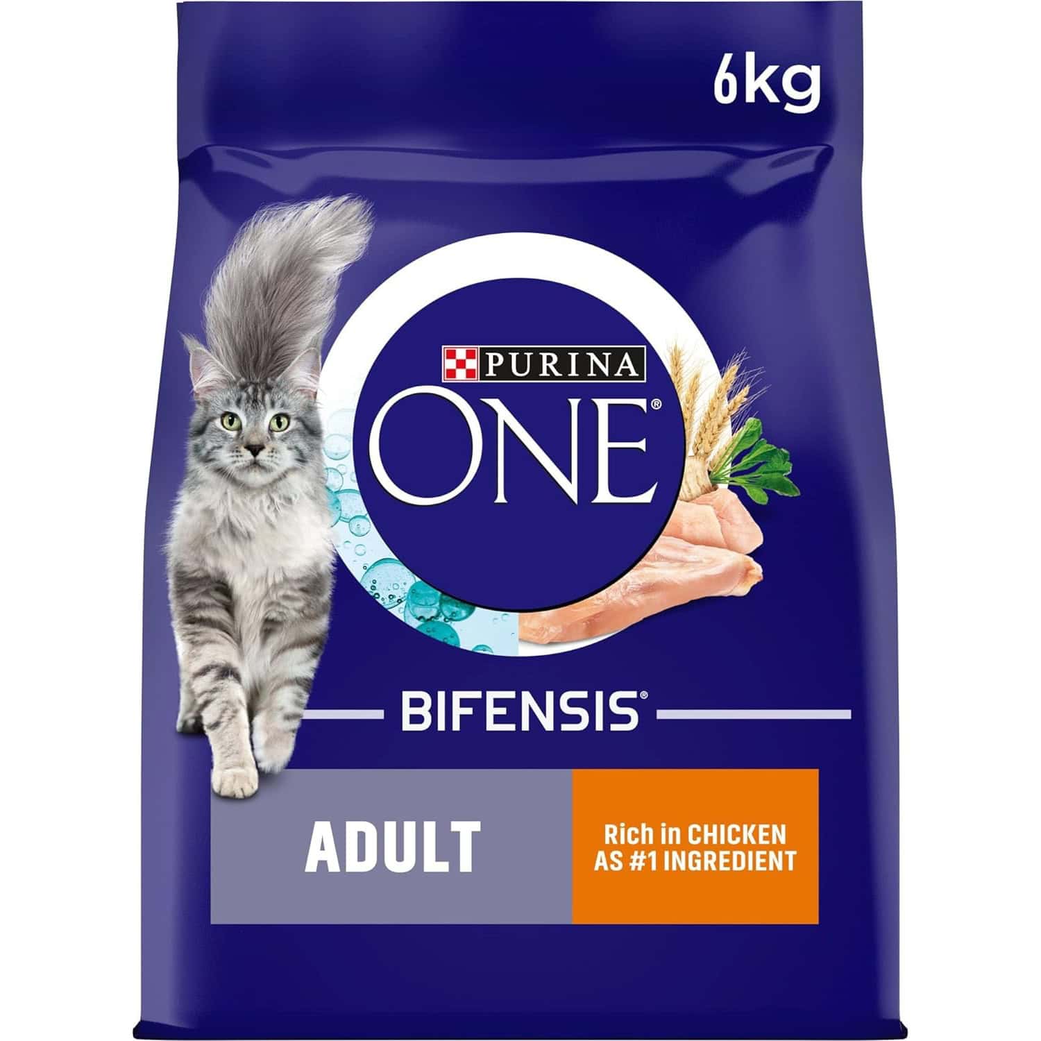 Purina ONE Adult Dry Cat Food