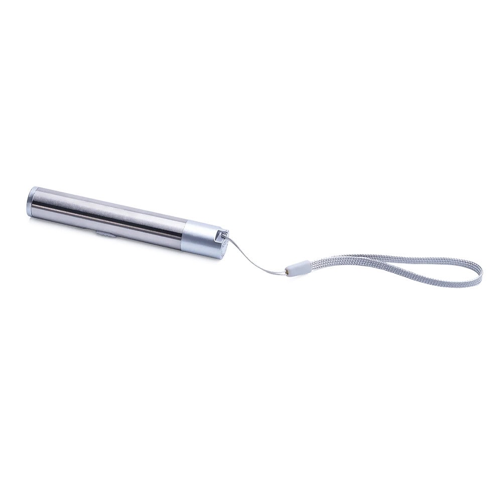 Litterbox.com Rechargeable Laser Pointer