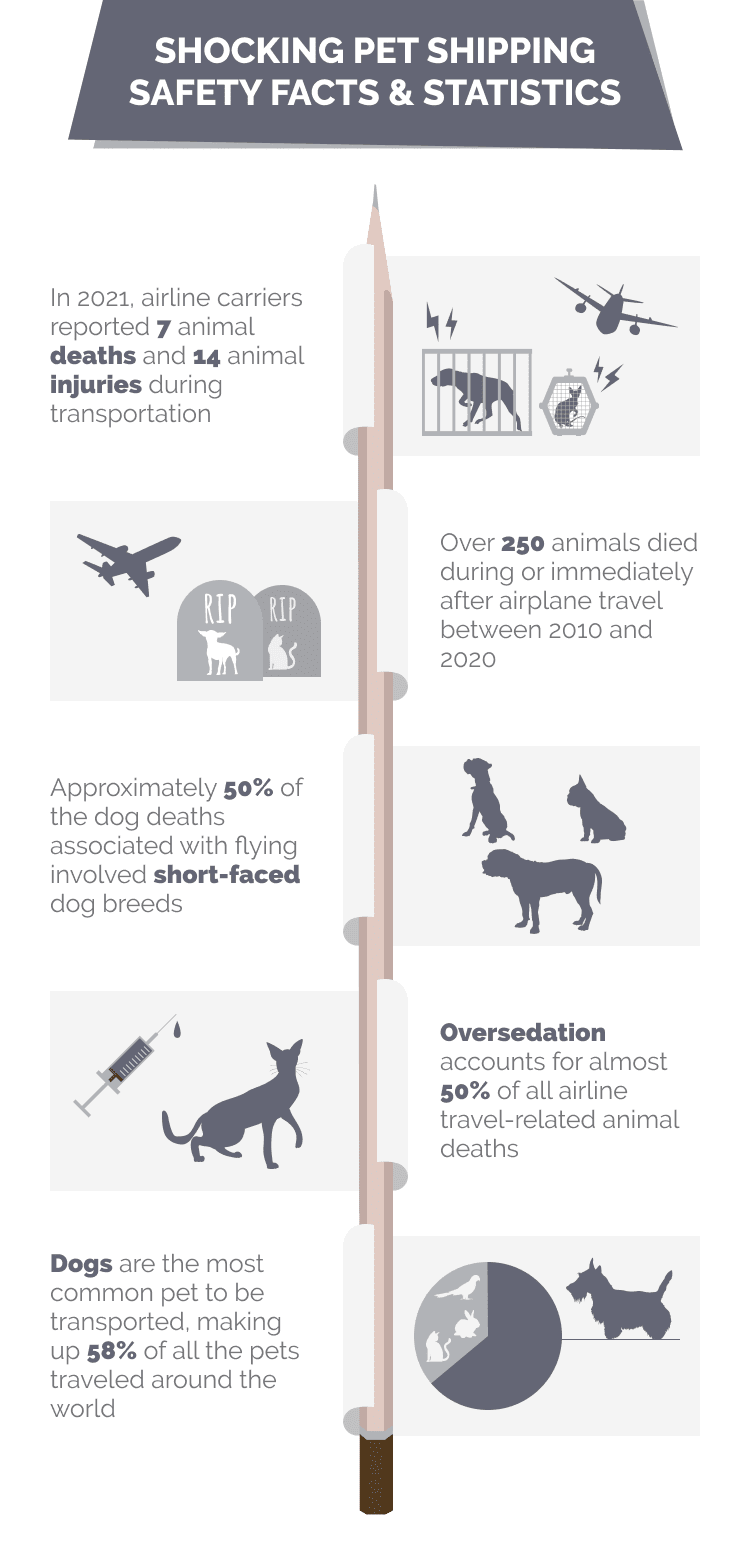 SHOCKING_PET_SHIPPING_SAFETY_FACTS_&_STATISTICS