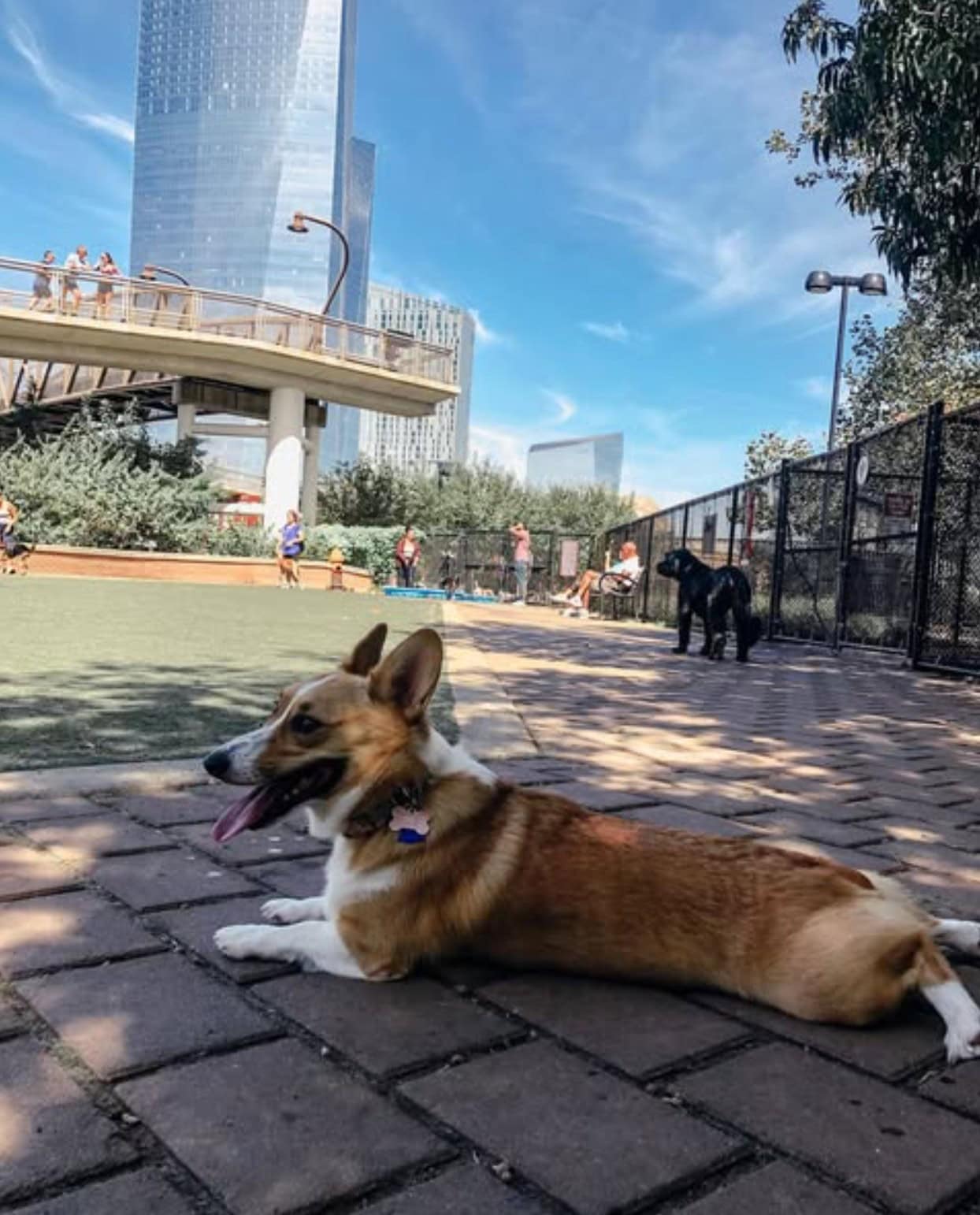 Schuylkill River Dog Park