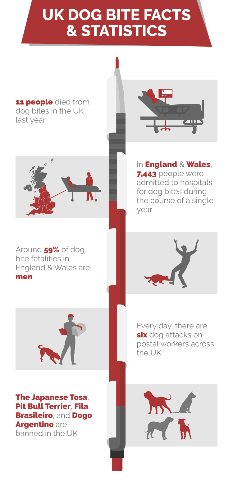 UK_DOG_BITE_FACTS_&_STATISTICS
