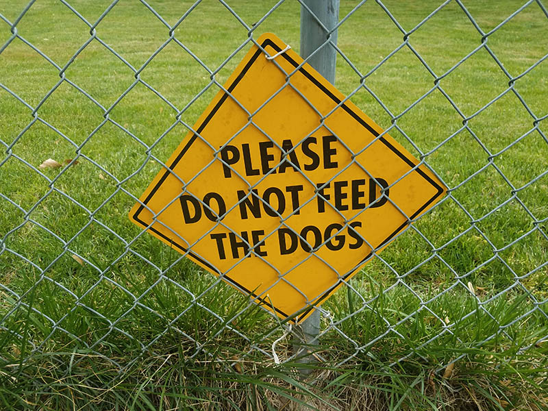 Yellow please do not feed the dogs sign on metal fence