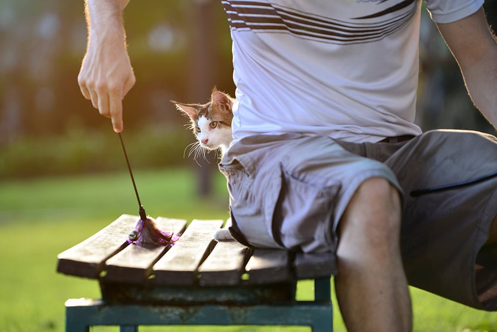 cat behind man's back