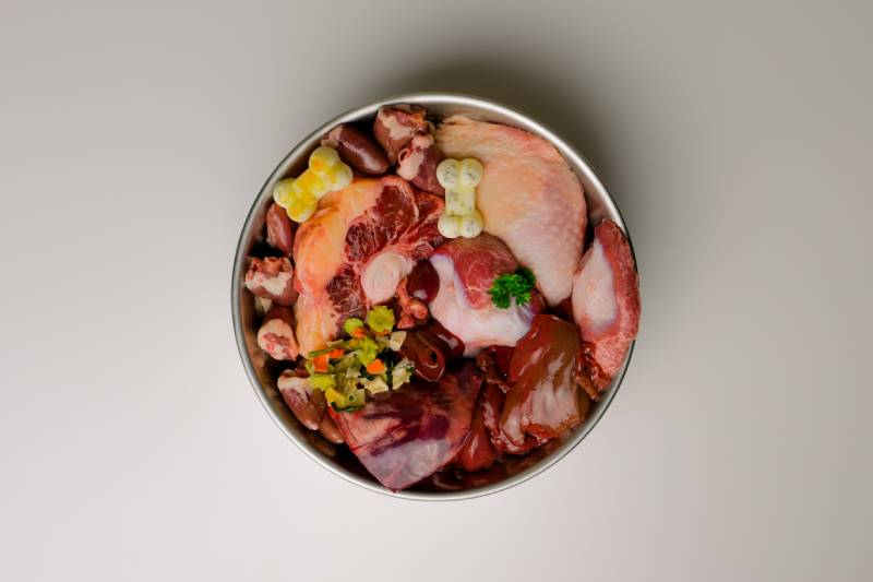 natural raw dog food in bowl on white background