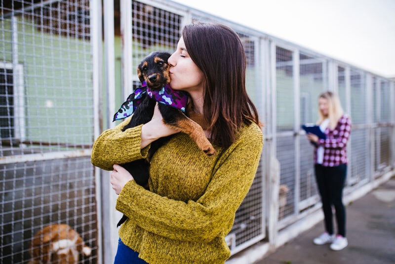 woman kissing her adopted dog from a shelter
