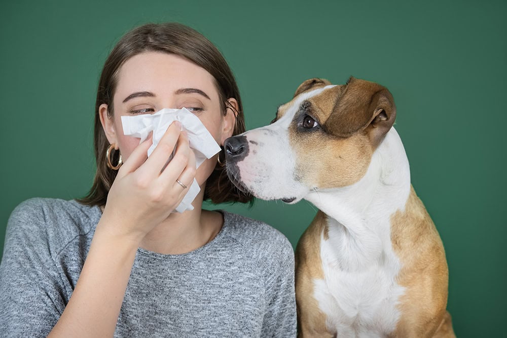 woman sneezing beside her dog using tissue