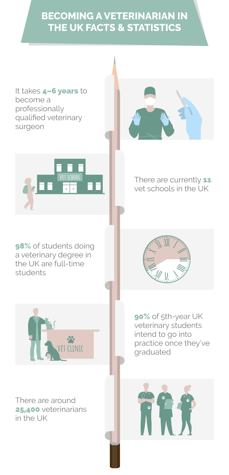BECOMING_A_VETERINARIAN_IN_THE_UK_FACTS_&_STATISTICS
