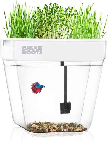 Back To The Roots Indoor Aquaponic Fish Tank